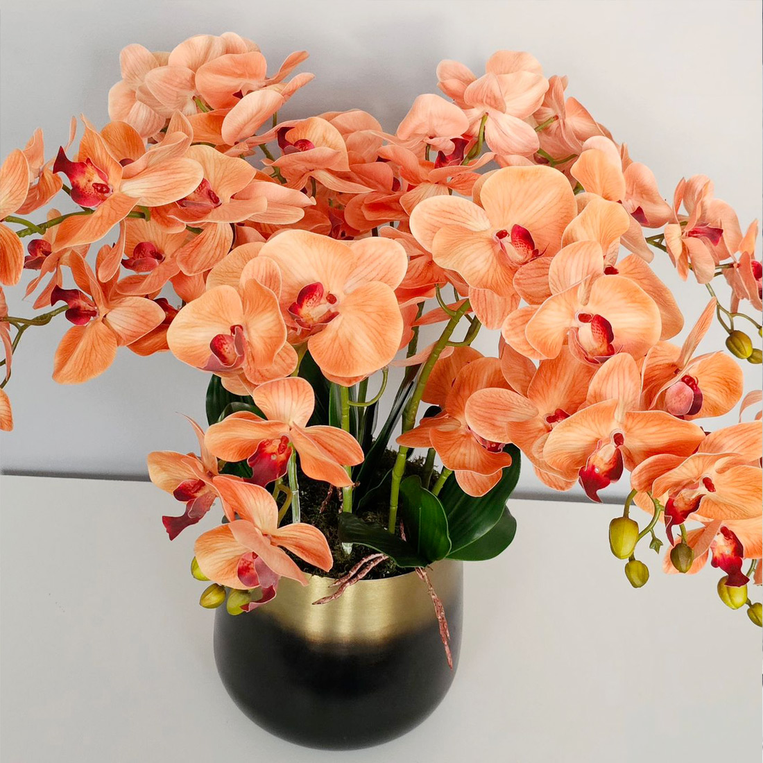 orange-1-photo
